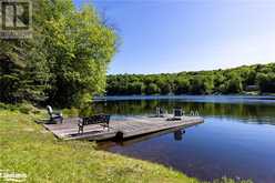 1305 BELLWOOD ACRES Road Lake of Bays