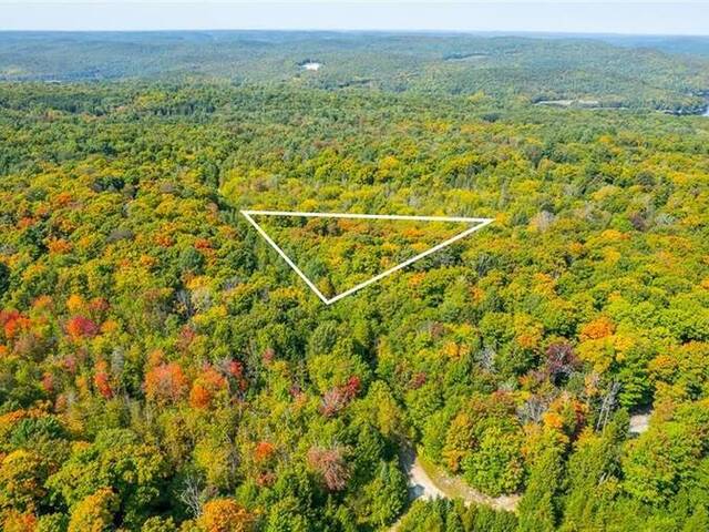 LOT 49 BASSHAUNT LAKE Road Eagle Lake Ontario