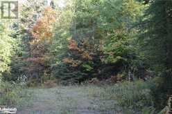 LOT 20 CONCESSION 5 Road Newholm