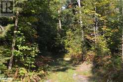 LOT 20 CONCESSION 5 Road Newholm