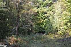 LOT 20 CONCESSION 5 Road Newholm