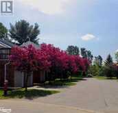 30 SHORELINE Drive Bracebridge