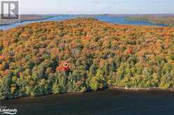 0 BEAR ISLAND Dorset