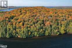 0 BEAR ISLAND Dorset