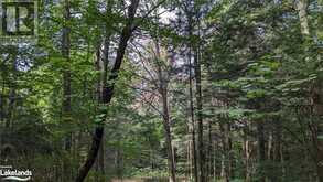 LOT 2 LIMBERLOST Road Lake of Bays