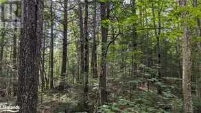 LOT 2 LIMBERLOST Road Lake of Bays