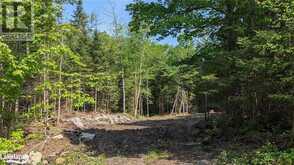 LOT 2 LIMBERLOST Road Lake of Bays