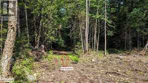 LOT 2 LIMBERLOST Road Lake of Bays