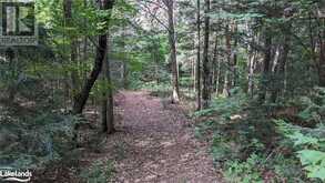 LOT 2 LIMBERLOST Road Lake of Bays