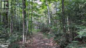 LOT 2 LIMBERLOST Road Lake of Bays