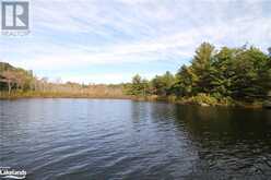 1039 SNIDERS BAY Road Gravenhurst