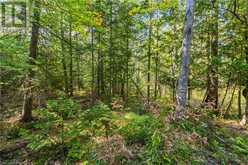 LOT 36 SAUBLE FALLS PARKWAY South Bruce Peninsula