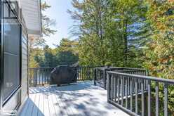 1307 DICKIE LAKE Road Baysville