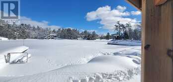 149 JOHN BUCHLER ROAD Georgian Bay