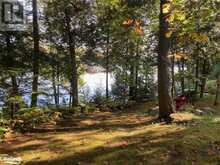 1052 NUTCRACKER Trail Haliburton