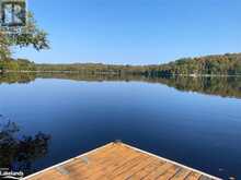 1052 NUTCRACKER Trail Haliburton