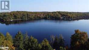 1052 NUTCRACKER Trail Haliburton