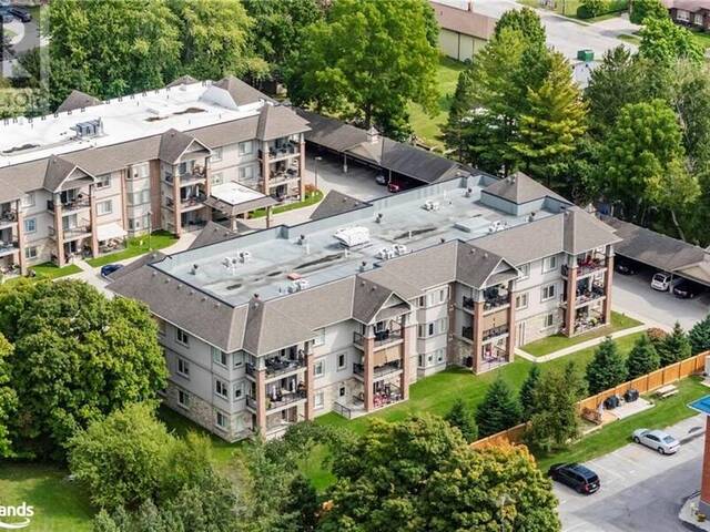 19A YONGE Street N Unit# 105 Elmvale Ontario