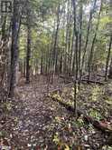 LOT 67 CHELSEA LANE Algonquin Highlands