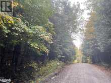 LOT 67 CHELSEA LANE Algonquin Highlands