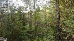 LOT 67 CHELSEA LANE Algonquin Highlands