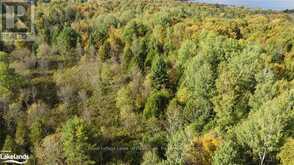 LOT 67 CHELSEA LANE Algonquin Highlands