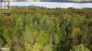 LOT 67 CHELSEA LANE Algonquin Highlands