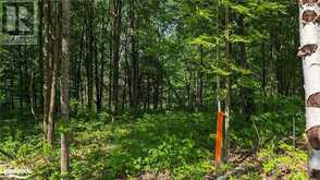 LOT 2 TALLY HO WINTER PARK Road Lake of Bays