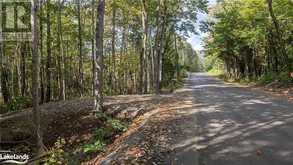 LOT 1 TALLY HO WINTER PARK Road Lake of Bays