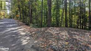 LOT 1 TALLY HO WINTER PARK Road Lake of Bays