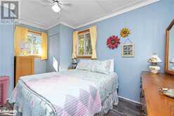 27 OWLS NEST Whitestone