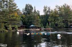 30 MCVITTIE Island Bracebridge