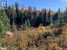 0 SUGAR BUSH Road E Magnetawan