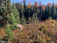 0 SUGAR BUSH Road E Magnetawan