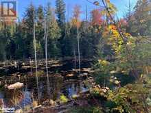 0 SUGAR BUSH Road E Magnetawan