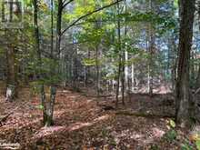 0 SUGAR BUSH Road E Magnetawan