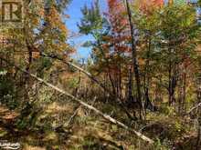 0 SUGAR BUSH Road E Magnetawan