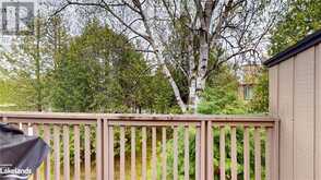 23 DAWSON Drive Unit# 101 Collingwood