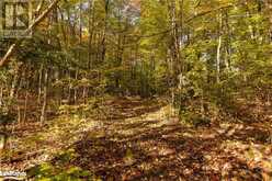 LOT 15 CON 12 SOUTH MENOMINEE LAKE Road Lake of Bays 