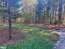 LOT 1 N/A Haliburton