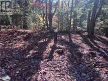 LOT 1 N/A Haliburton