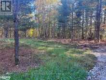 LOT 1 N/A Algonquin Highlands