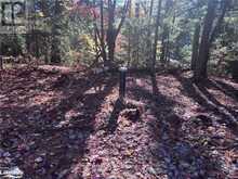 LOT 1 N/A Algonquin Highlands