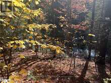 LOT 1 N/A Algonquin Highlands