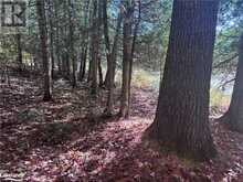 LOT 6 N/A Haliburton