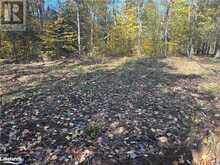 LOT 6 N/A Algonquin Highlands