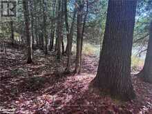 LOT 6 N/A Algonquin Highlands