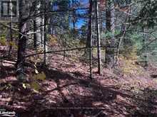 LOT 5 N/A Algonquin Highlands