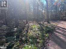 LOT 5 N/A Algonquin Highlands