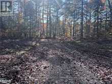 LOT 5 N/A Algonquin Highlands